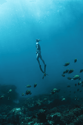 Diver descending through sunlit water among a school of fish